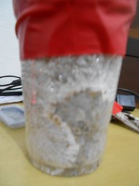 DSCN0803.JPG