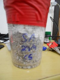 DSCN0802.JPG