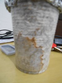 DSCN0805.JPG