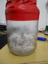 DSCN0790.JPG