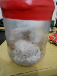DSCN0791.JPG