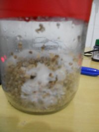 DSCN0794.JPG