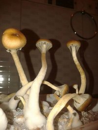 As9qzsKpONWYA0aHs_ZY9TDAwPHgbGtLJauqYnIfUaA9.jpg
