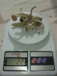 AvCBC-tF3yOR6L4lzvajo_6gV2jCGtES2i0FF6O4ib4O.jpg