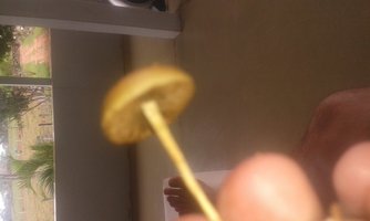 20151013_110545.jpg