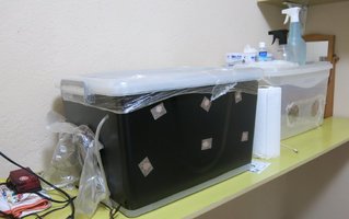 IMG_5804.JPG