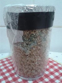 contaminação.jpg