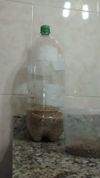 terrário casing 1.jpg