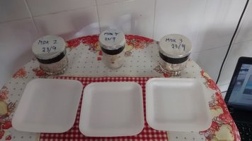 copos antes de aniversariar 1.jpg