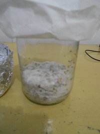 DSCN0814.JPG
