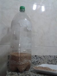 pet casing sem cobertura 1.jpg