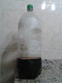 pet casing com cobertura.jpg