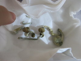 IMG_5854.JPG