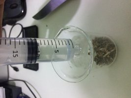 IMG_1261.JPG