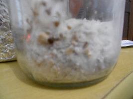 DSCN0706.JPG