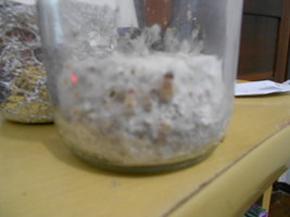 DSCN0704.JPG