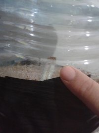 primeiro pin casing 2.jpg