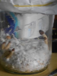 DSCN0727.JPG
