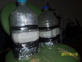 100_4841.JPG