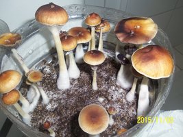 100_4849.JPG