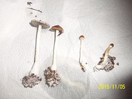 100_4869.JPG