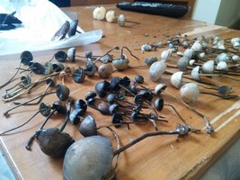 20151110_124926.jpg