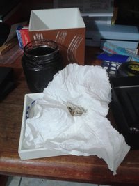 20151109_105550.jpg