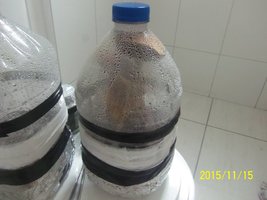 100_4895.JPG