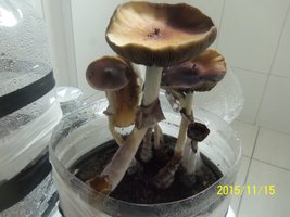 100_4897.JPG