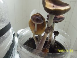 100_4898.JPG