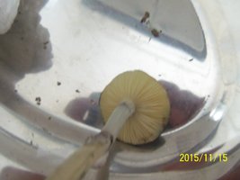 100_4900.JPG