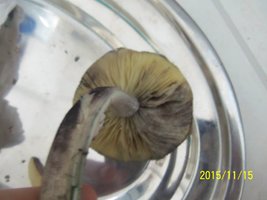 100_4901.JPG
