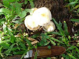 20151111_174341.jpg