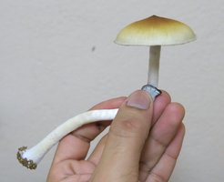 IMG_6284.JPG