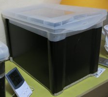 IMG_6347.JPG
