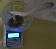 IMG_6286.JPG