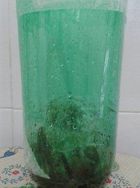 20151116_183304.jpg