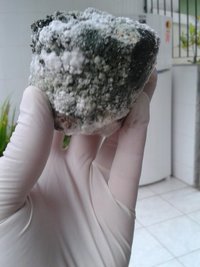 20151116_183436.jpg