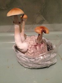 IMG_1565.JPG