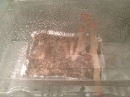 IMG_1622.JPG