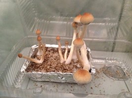 IMG_1632.JPG