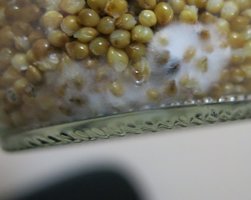 IMG_6447.JPG