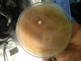 20151124_084931.jpg