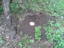 20151125_155511.jpg