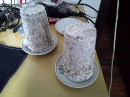 P_20151130_153413.jpg