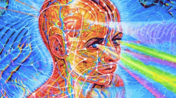 tumblr_mh008sFhwT1r0ouhgo1_500.gif