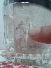 bolo 2 contaminação d.jpg
