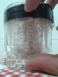 bolo 2 contaminação a.jpg