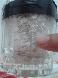 bolo 2 contaminação b.jpg