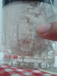 bolo 2 contaminação e.jpg